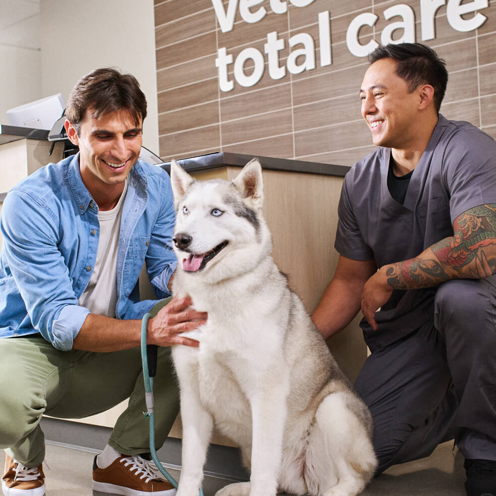 vet and owner with the owner's dog