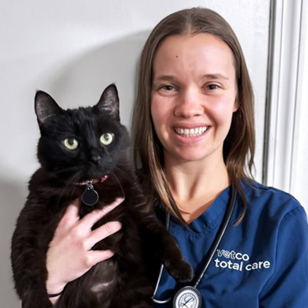 vet holding a cat
