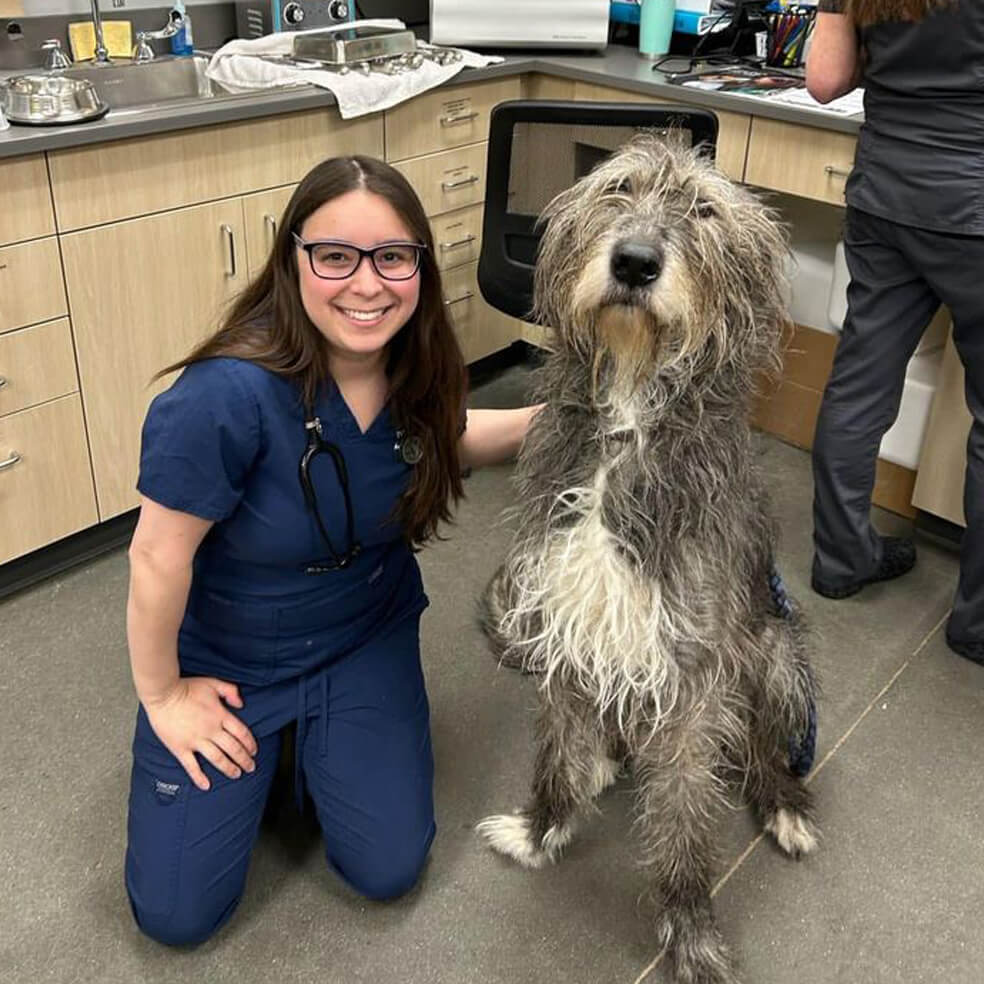 Vet kneeling down with a big dog sitting next to her