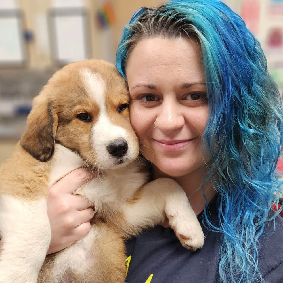 Vet holding puppy