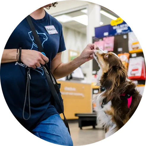 Petco trainer working with a dog