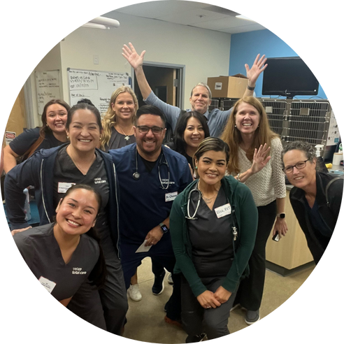 Medical team posing in clinical setting