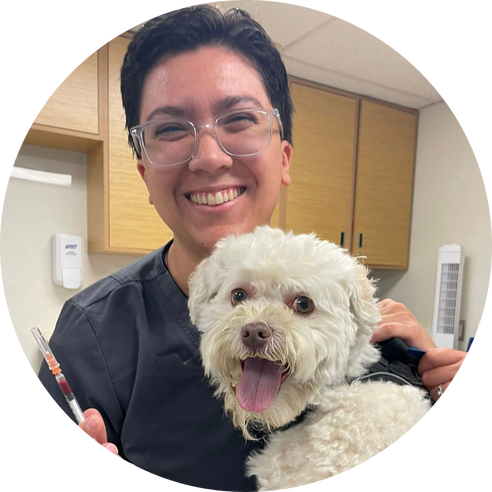 Person holding white dog and syringe in clinic.
