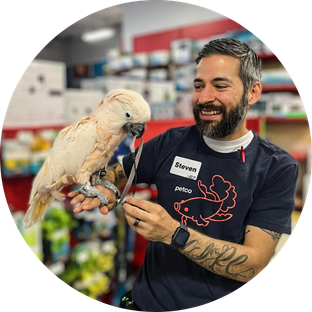 Petco employee holding a bird