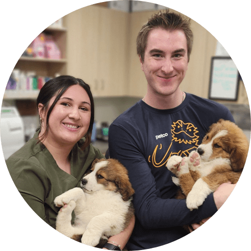 Woman and Man, each holding a puppy in their arms
