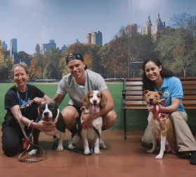 Three people indoors posing with three dogs in front of a mural depicting a park scene with trees, grass, and city buildings. A bench is visible behind them