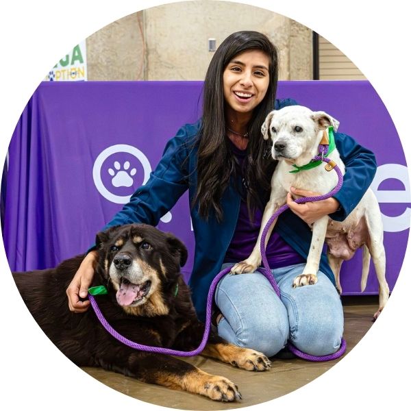A women sitting with two dogs