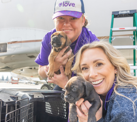 Two people smiling and holding puppies