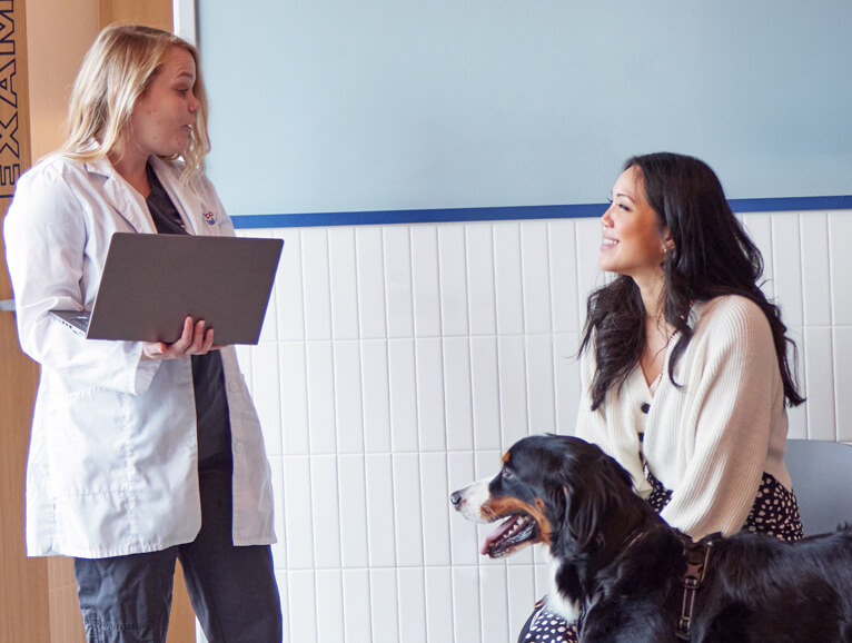 vet with dog owner and dog