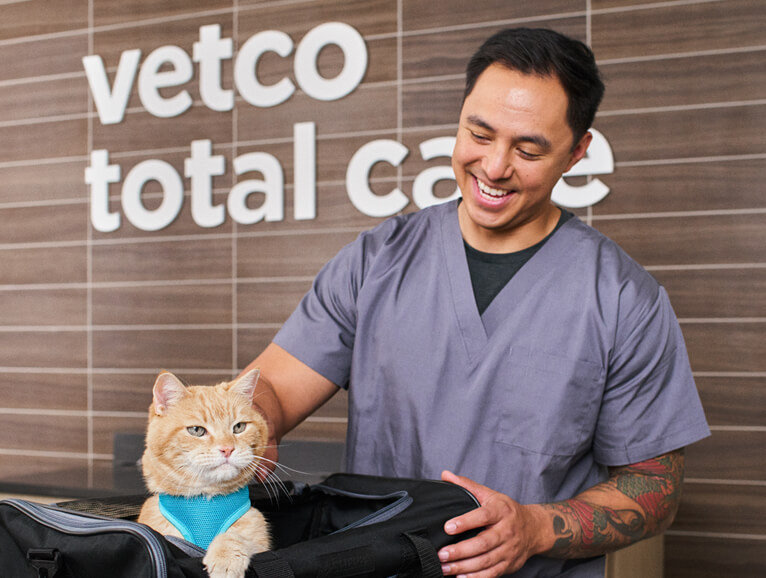 vet with a cat