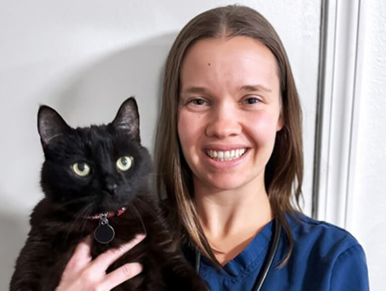 vet holding a cat