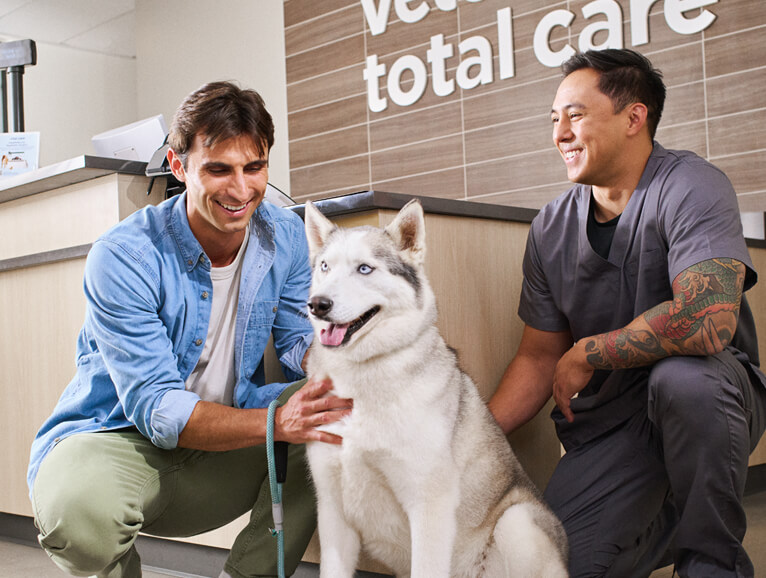 vet and owner with the owner's dog