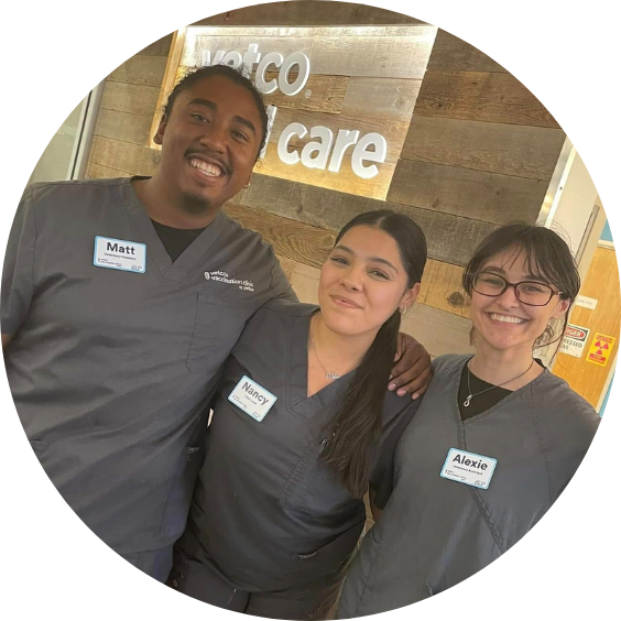 Three Vetco veterinary team members smiling together inside a veterinary hospital.