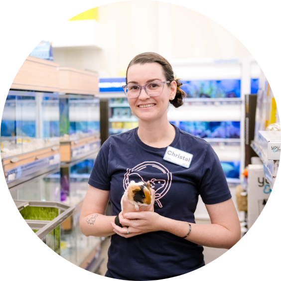 Pet care partner holding a guinea pig in the small animal area of a pet care store.