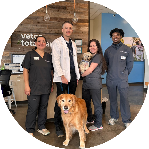 Vetco Total Care veterinary team smiling with two dogs inside a veterinary lobby..