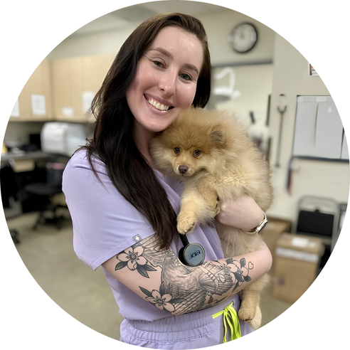 Veterinary professional smiling while holding a fluffy puppy in a veterinary hospital.