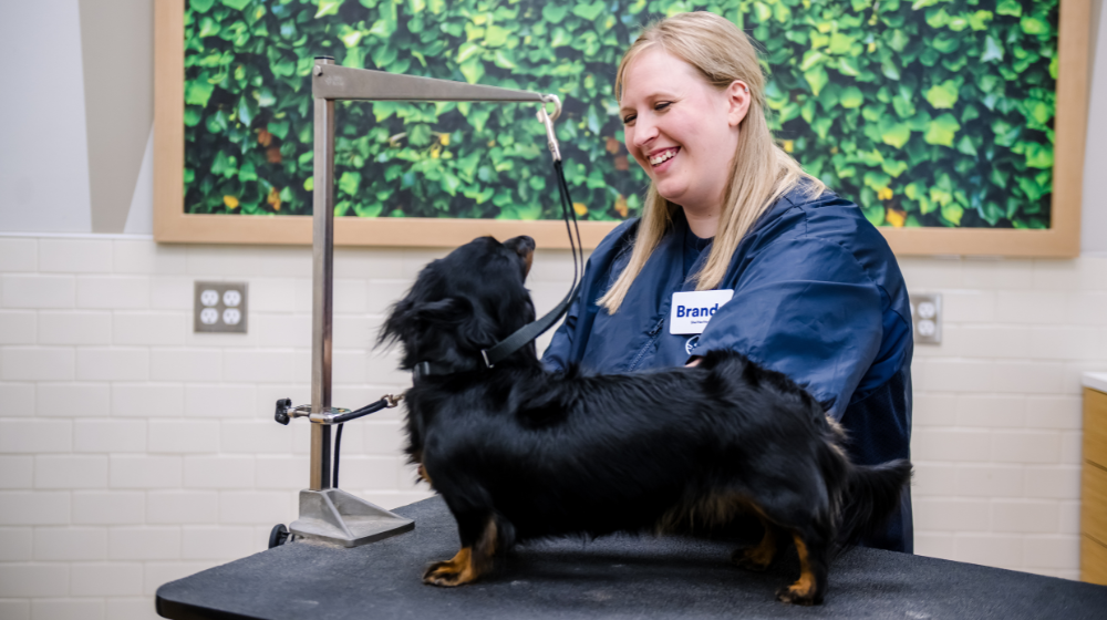 Petco groomer smiling with a black dog on a grooming table.