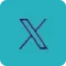 x icon