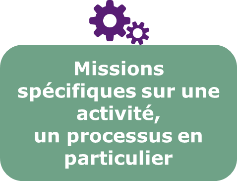 Missions specifiques à une activité, un processus en particulier