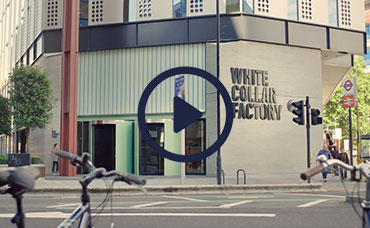 White Collar Factory video thumbnail.