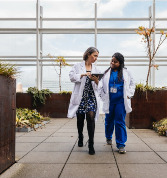 Two Doctor taking each other