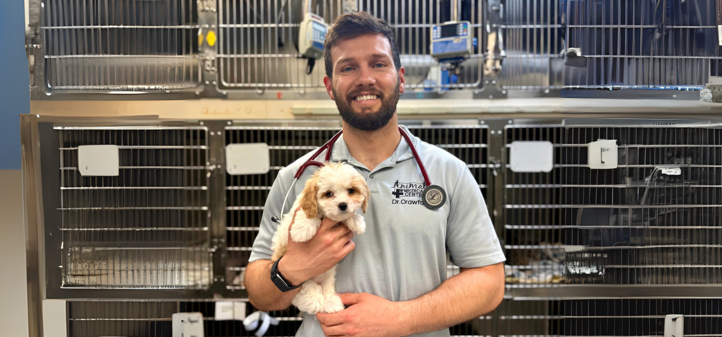 Dr Blake Crawford stands with a puppy
