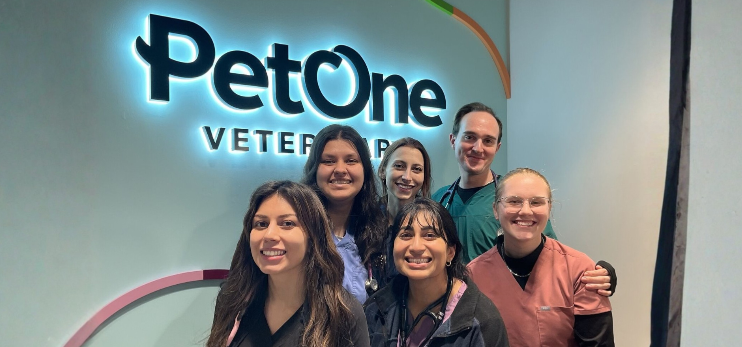 A group of managing veterinarians standing for a group photo