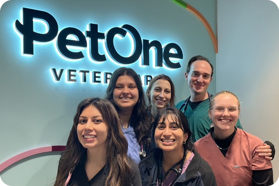 A group of young veterinarians posing for a group photo