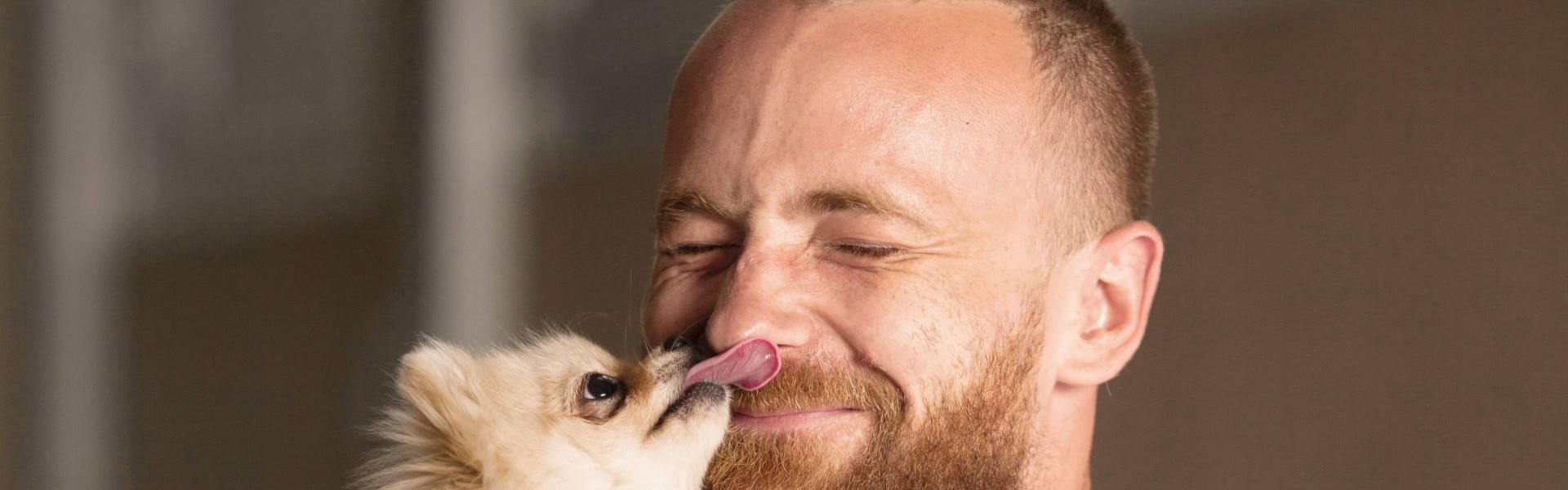 Veterinary professional holds up a small dog and is licked in the face