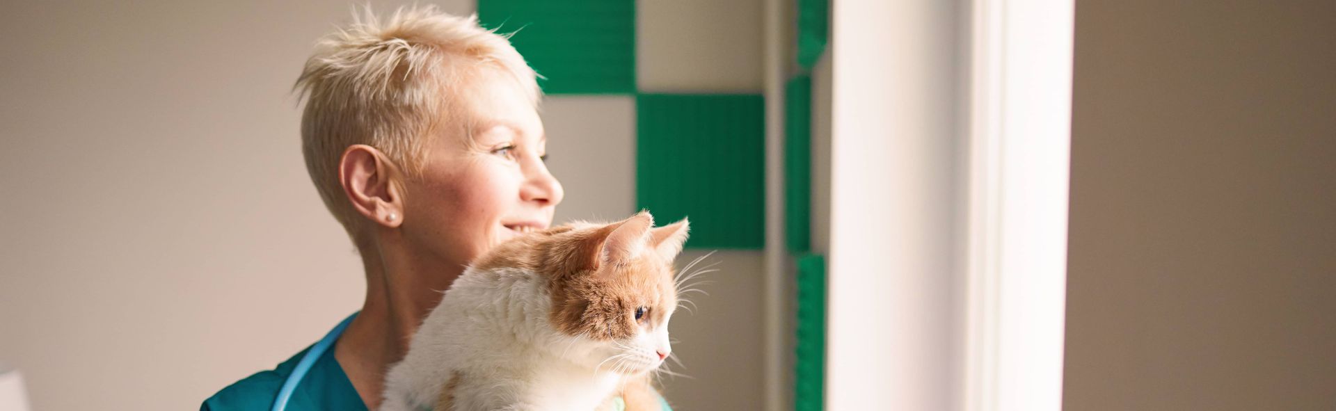 Veterinary professional holds a cat while gazing to the left 