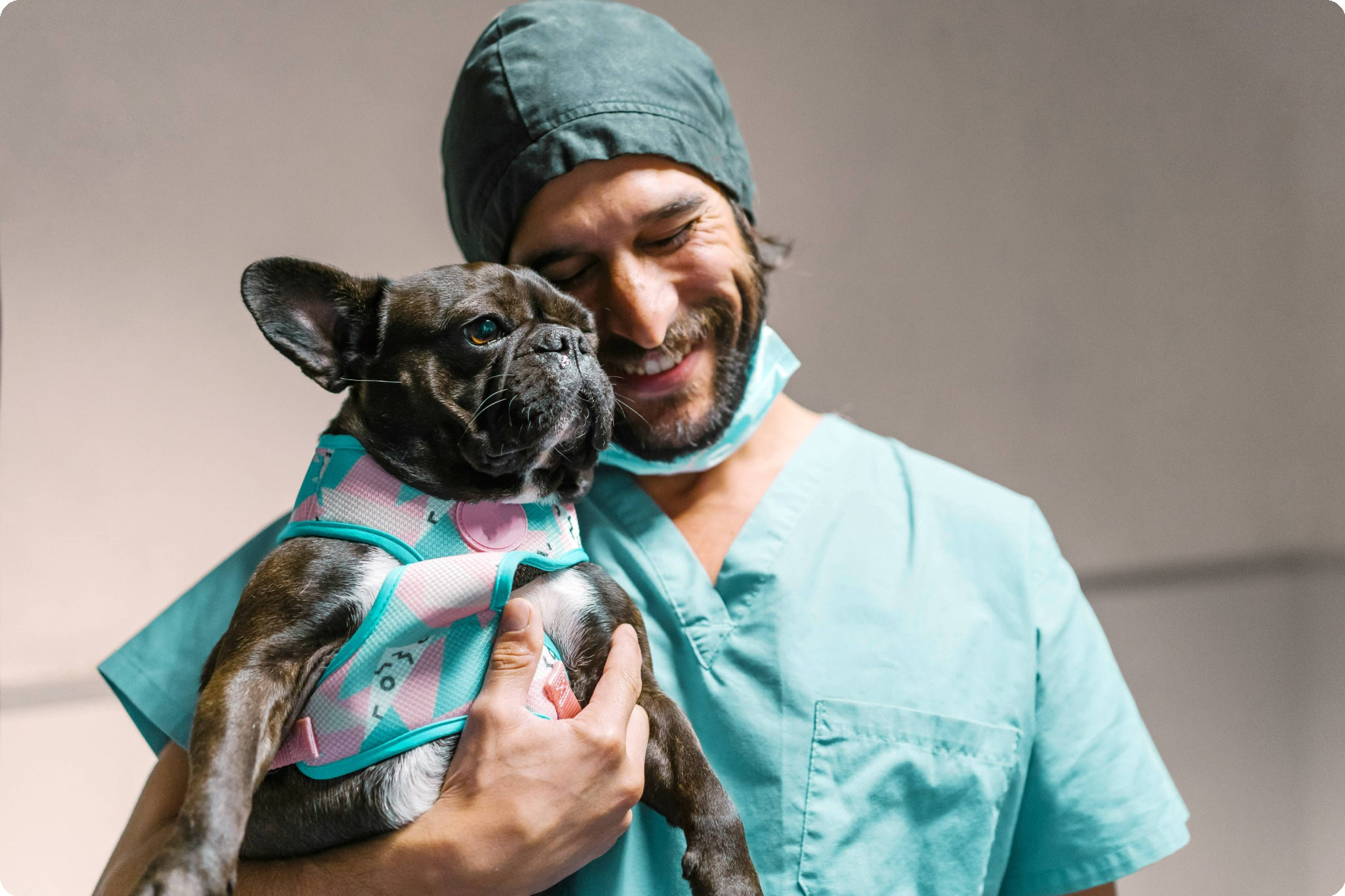 Veterinary professional holds a dog