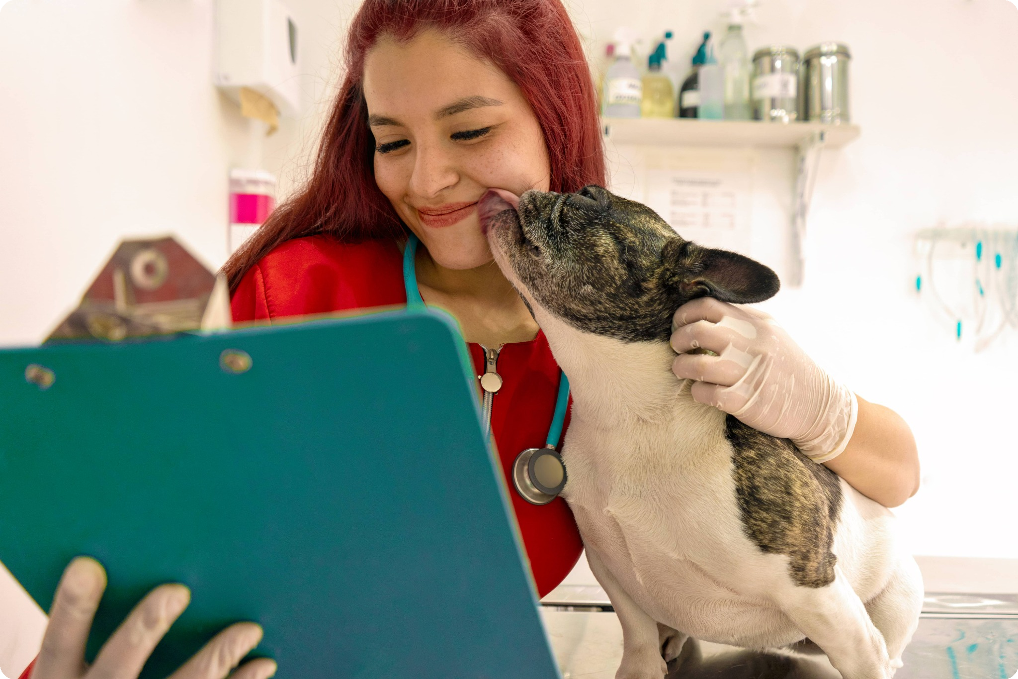 Veterinary professional with dog licking her face looks at a chart