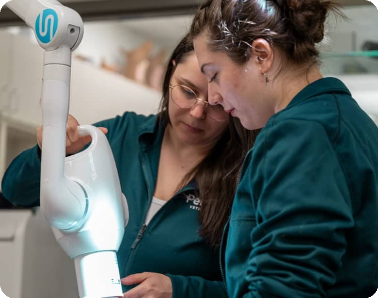 Veterinary professionals adjust equipment