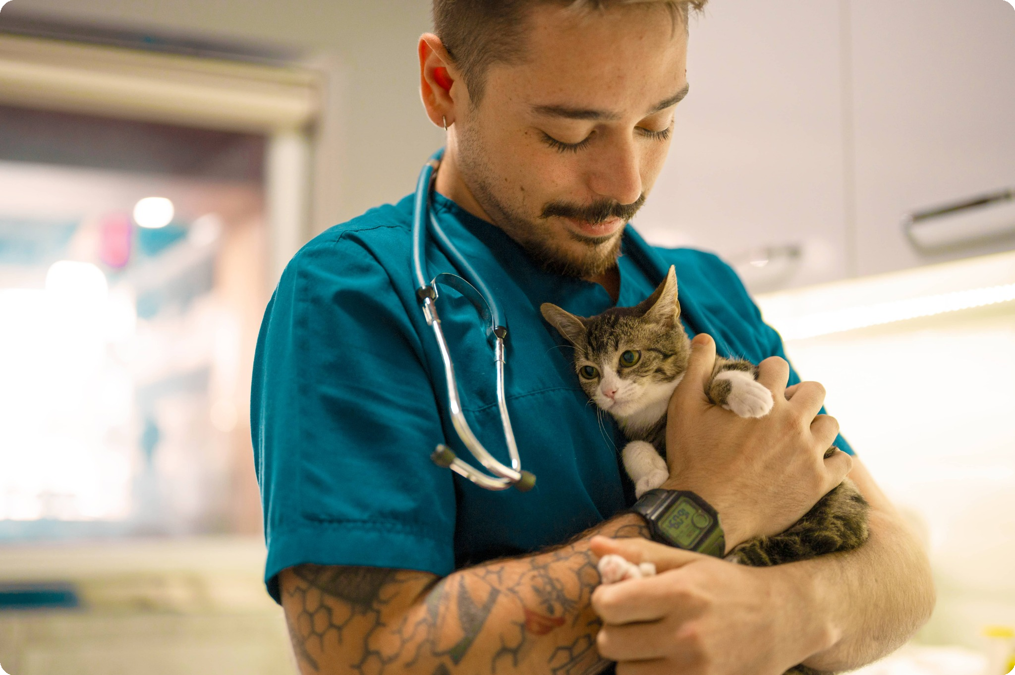 Veterinary professional holds a small kitten close to his body.