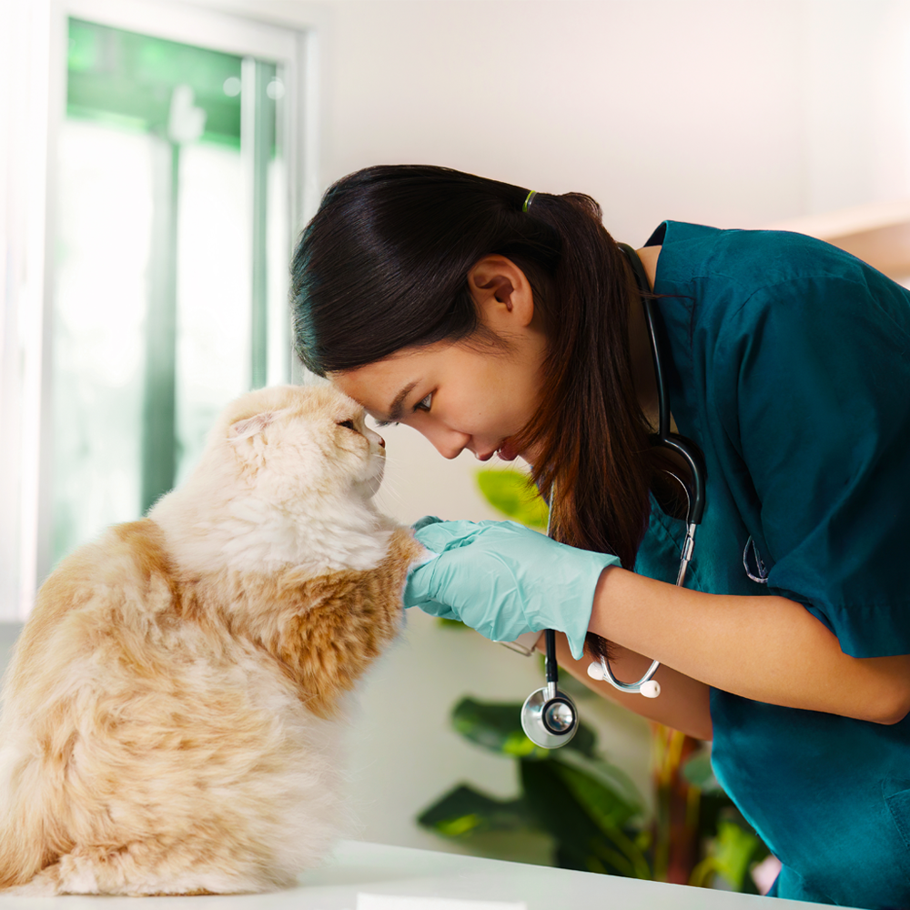 Clinical Specialist