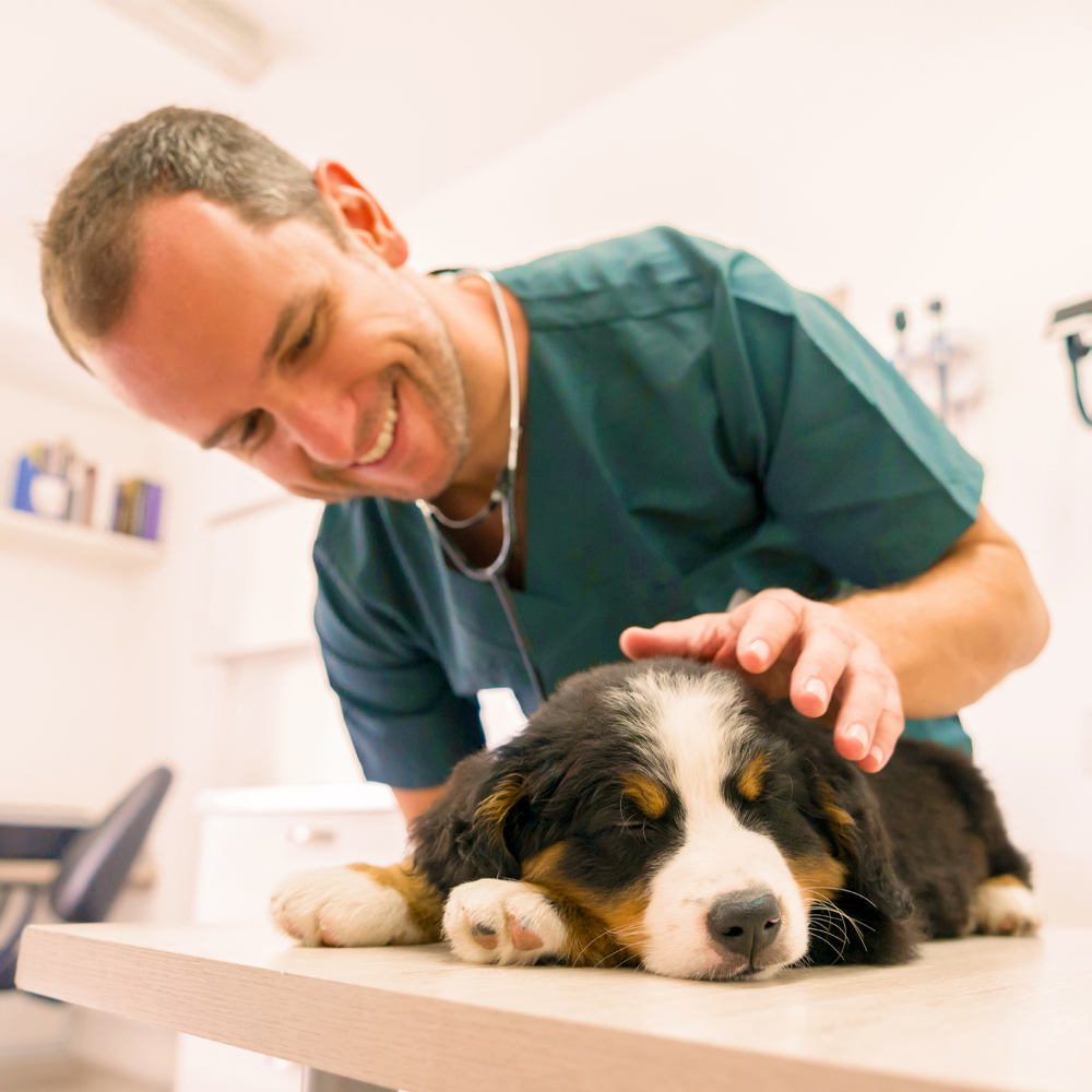 Medical Director