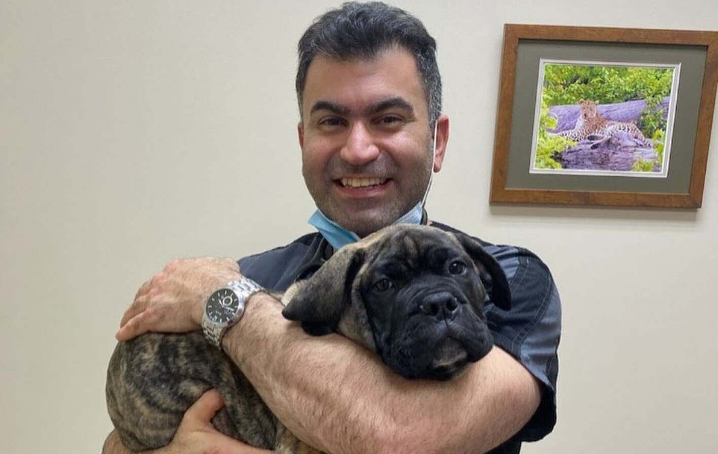 Veterinarian holds dog with its legs dangling