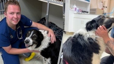 Vet and dog sit outside kennel 