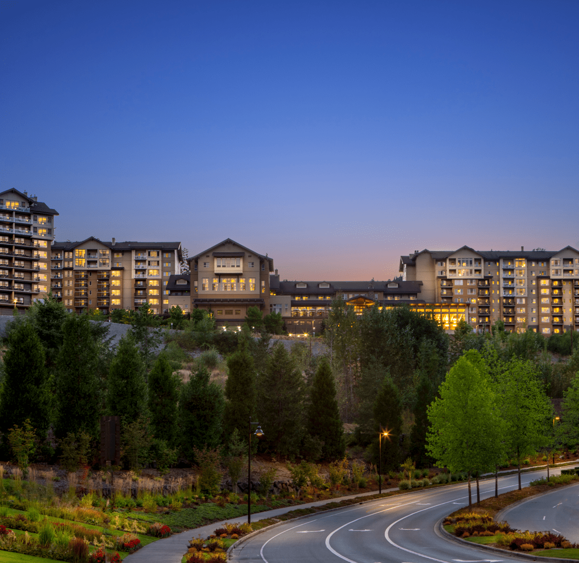 evening with nature in city