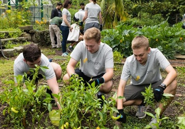 three people gardening