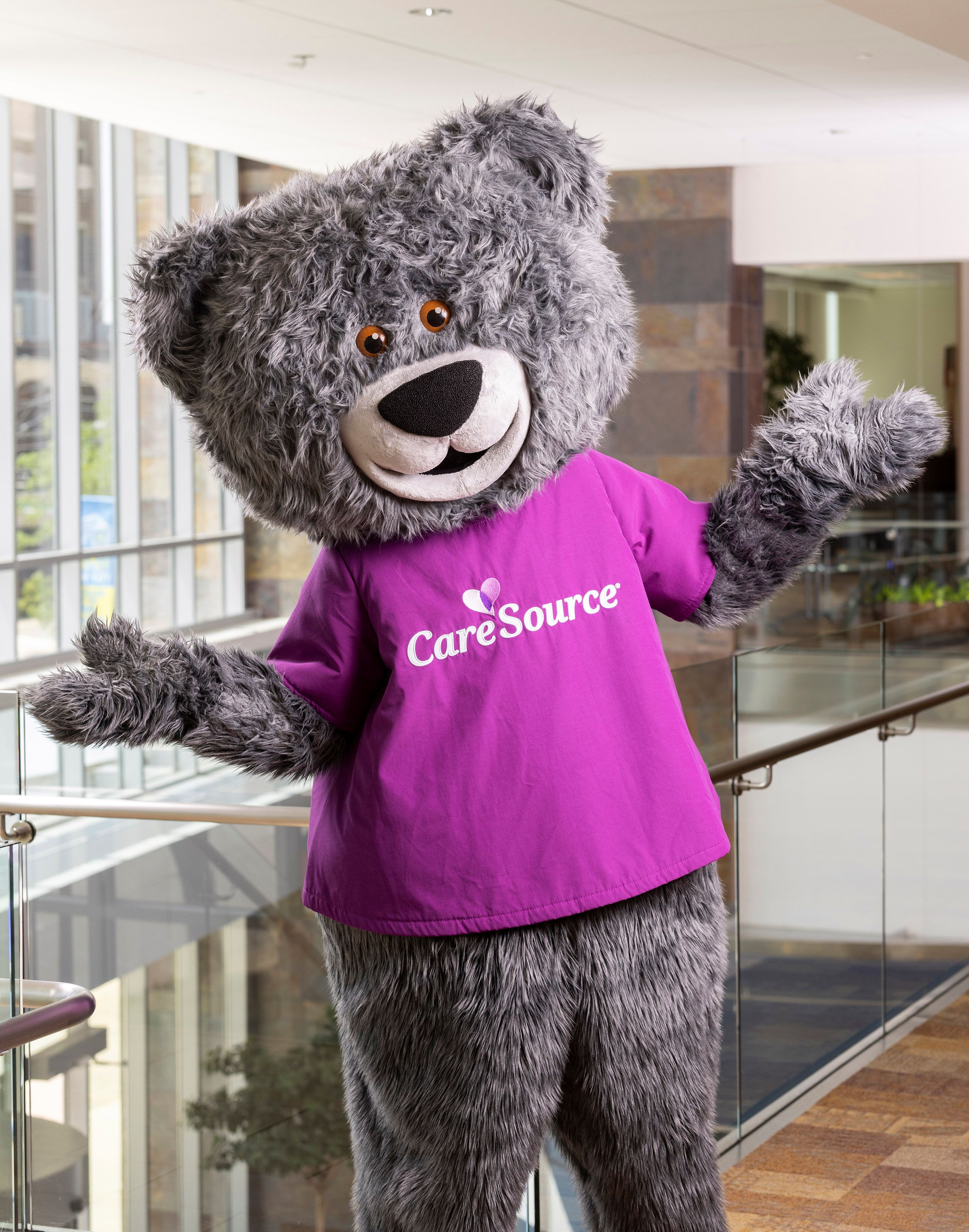 caresource mascot bear cuddles