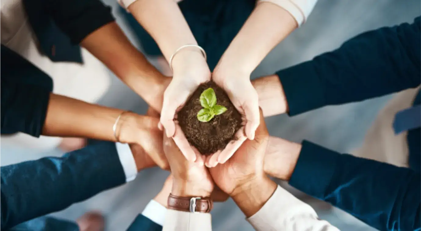 Two people's hands holding a seedling in soil, surrounded by other hands supporting them.