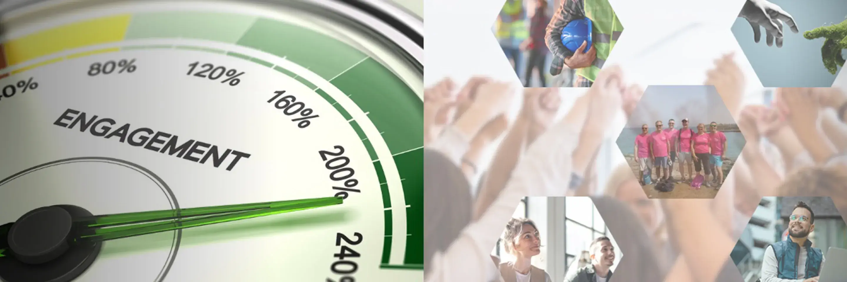 Collage of employees at Automative Alliance Group