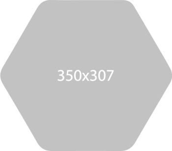 placeholder 350x307