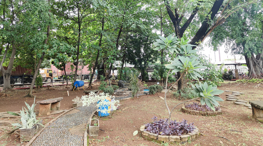 Outdoor area with plants and walking path