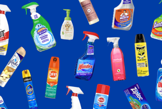 Collage of SC Johnson brands such as Scrubbing Bubbles, Windex, Method, Raid, Mr. Muscle and more