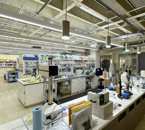 Laboratory space at LSB San Francisco office