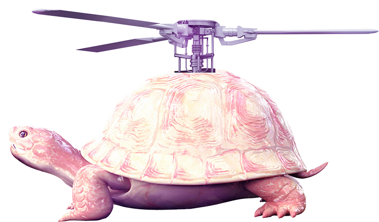 Flying turtoise
