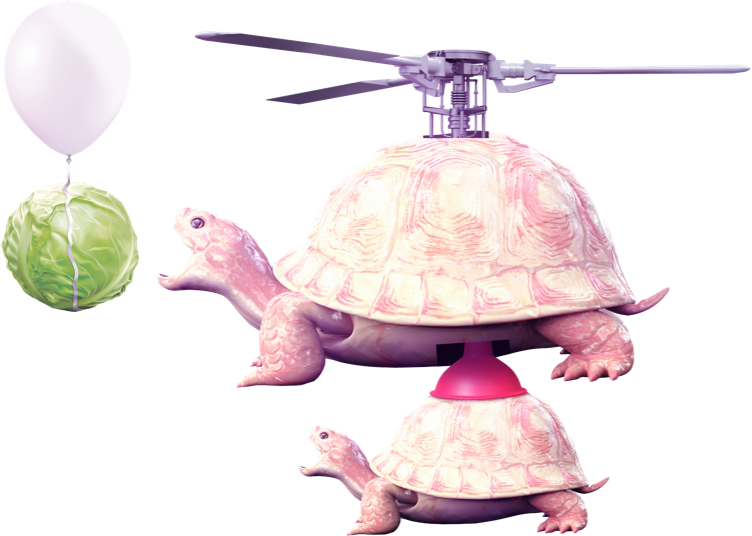 Tortoise biting into floating cabbage