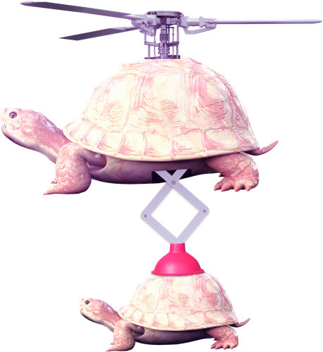 Flying tortoise